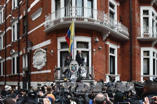 «WikiLeaks» откладывает публикацию сведений о Клинтон из соображений безопасности - ảnh 1